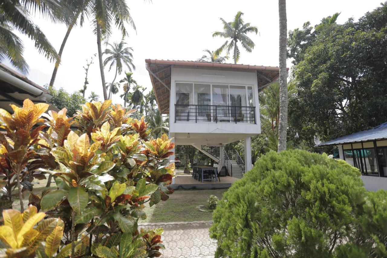 Kallanchery Retreat Kochi Exterior photo
